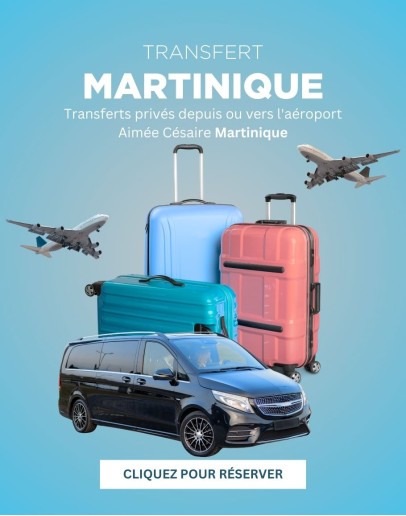 Private transfer from and to the airport of Martinique