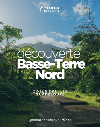 NORD BASSE TERRE DÉCOUVERTE
