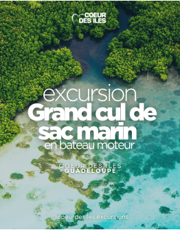 Grand Cul de Sac Marin (motor catamaran)