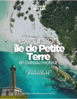 Petite Terre Island by motor boat