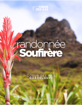 South of Basse Terre and volcano hike