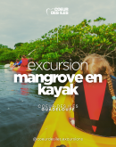 Kayak, balade Grand cul de sac Marin