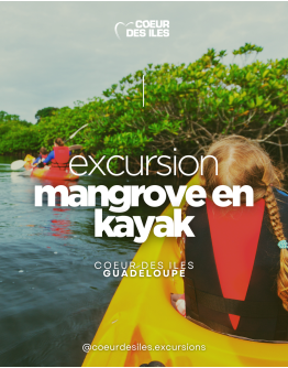 Kayak, balade Grand cul de sac Marin