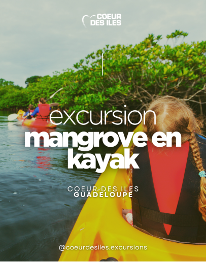 Kayak, balade Grand cul de sac Marin