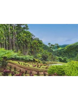 LA ROUTE DES SANCTUAIRES