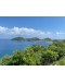 Les Saintes in freedom