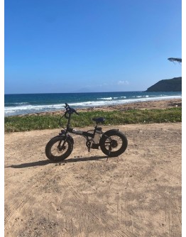 Les Saintes in freedom