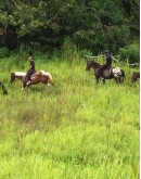 Horseback riding