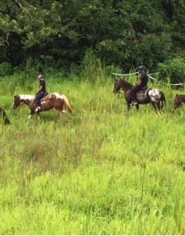 HORSEBACK RIDING IN MARTINIQUE