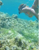 SCUBA DIVING