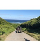  Buggy Hike - Grande Terre