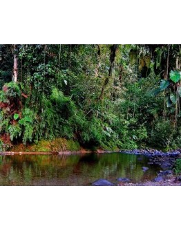 GUADELOUPE AVENTURE Sud Basse Terre 4x4