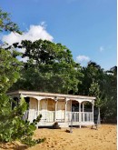 death in Paradise Road trip adventure