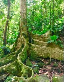 GUADELOUPE ADVENTURE SOUTH 4X4