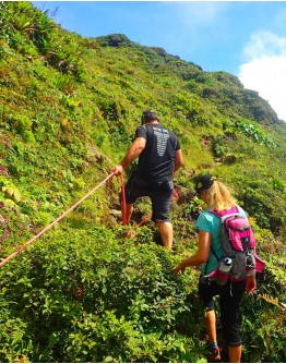 Randonnée à la Soufrière