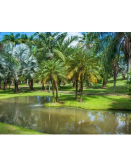 Habitations d'antan SUD