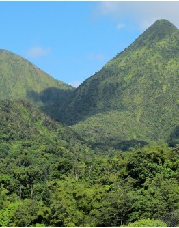 4x4 NORD CARAÏBES