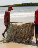 Purse seine fishing