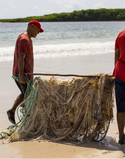 Purse seine fishing