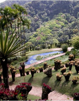 North of Martinique Freedom Pass