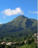North Martinique Day Tour – Saint-Pierre, Balata Garden & Rum Distillery