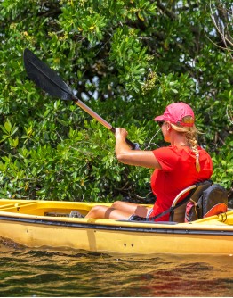 Kayak day