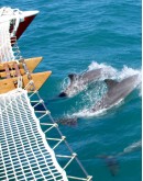 Croisière en catamaran à voile