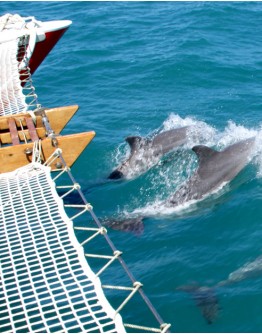 Croisière en catamaran à voile